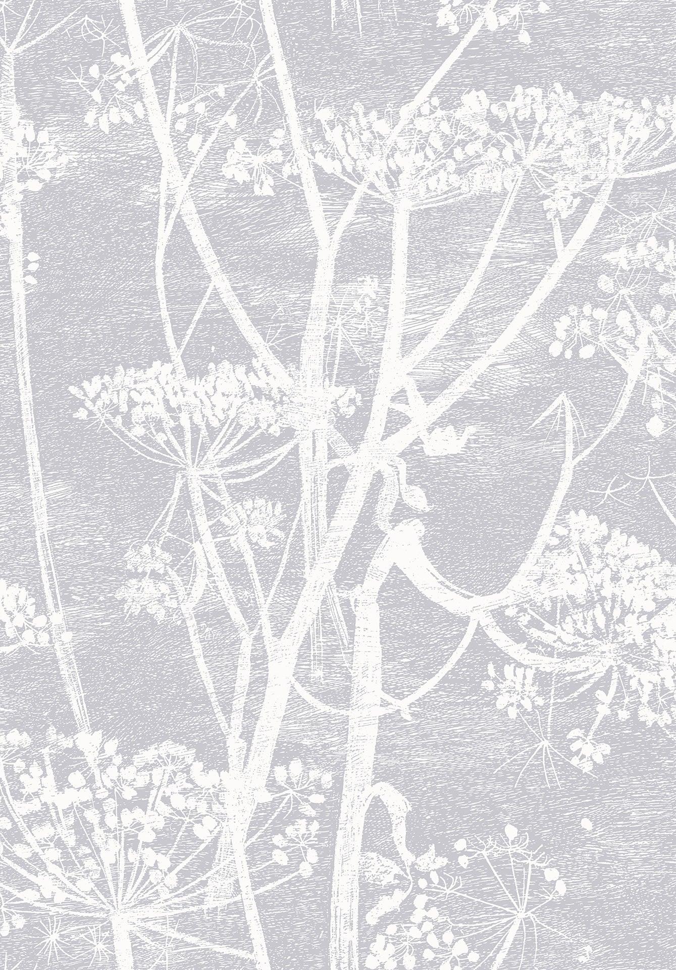 Tapeta CONTEMPORARY COLLECTION - Cow Parsley szary Cole & Son Default Title   Eye on Design