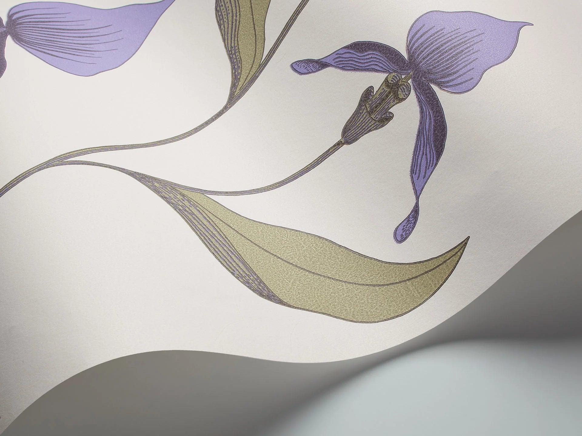 Tapeta CONTEMPORARY COLLECTION - Orchid Cole & Son    Eye on Design