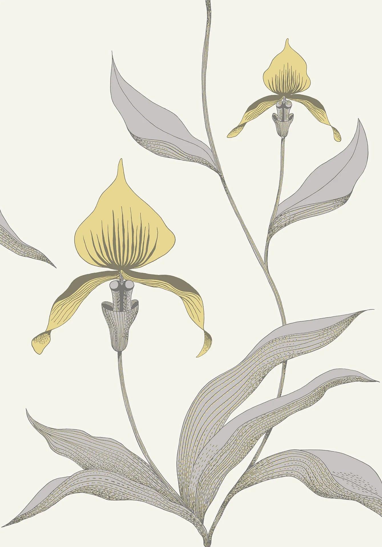 Tapeta CONTEMPORARY COLLECTION - Orchid Cole & Son Cytrynowy i szary na kredzie   Eye on Design