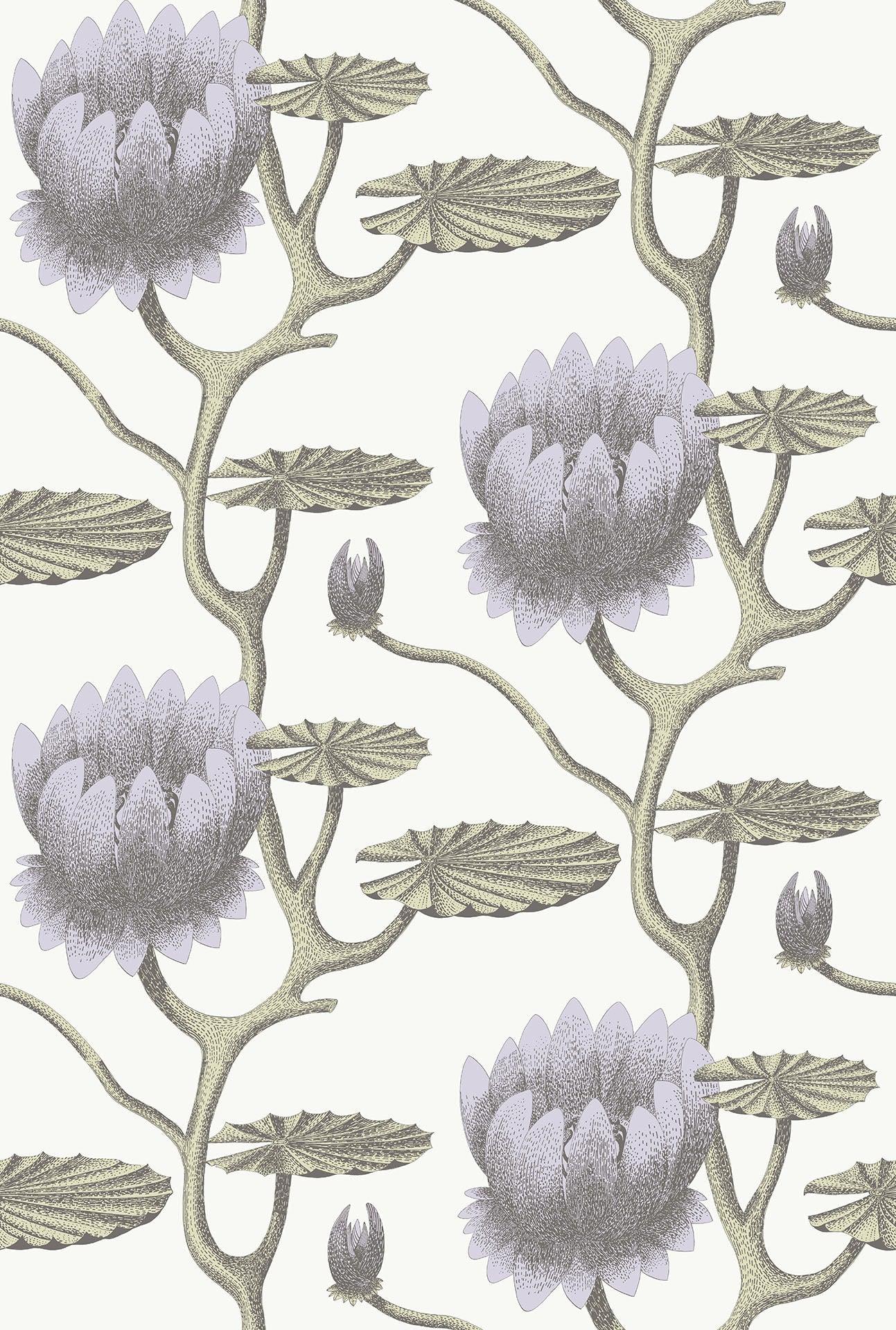 Tapeta CONTEMPORARY COLLECTION - Summer Lily fiolet na bieli Cole & Son    Eye on Design