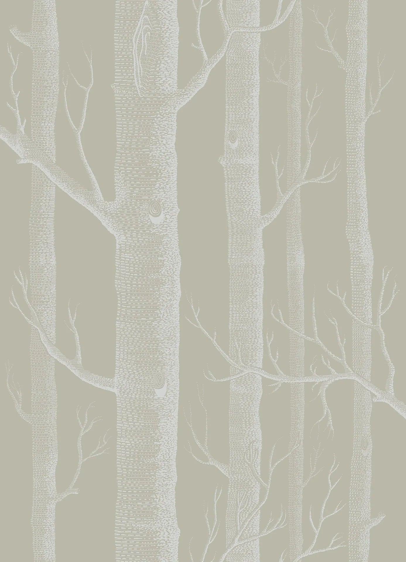 Tapeta CONTEMPORARY COLLECTION - Woods oliwkowy Cole & Son    Eye on Design