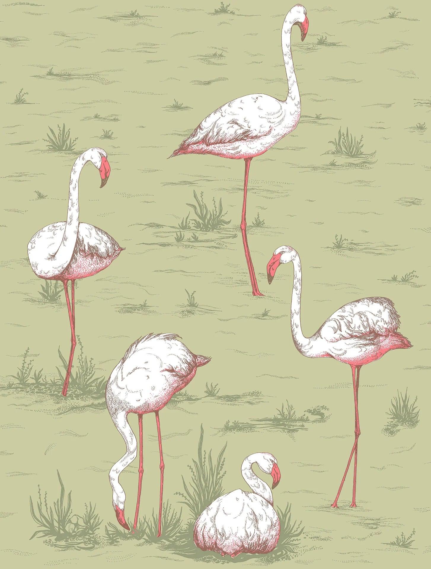 Tapeta ICONS - Flamingos zielony Cole & Son    Eye on Design