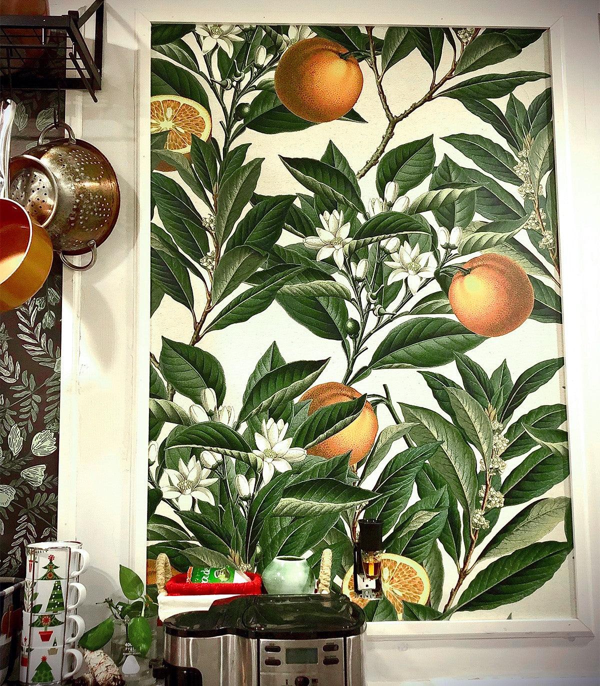 Tapeta ORANGE TREE Wallcolors    Eye on Design