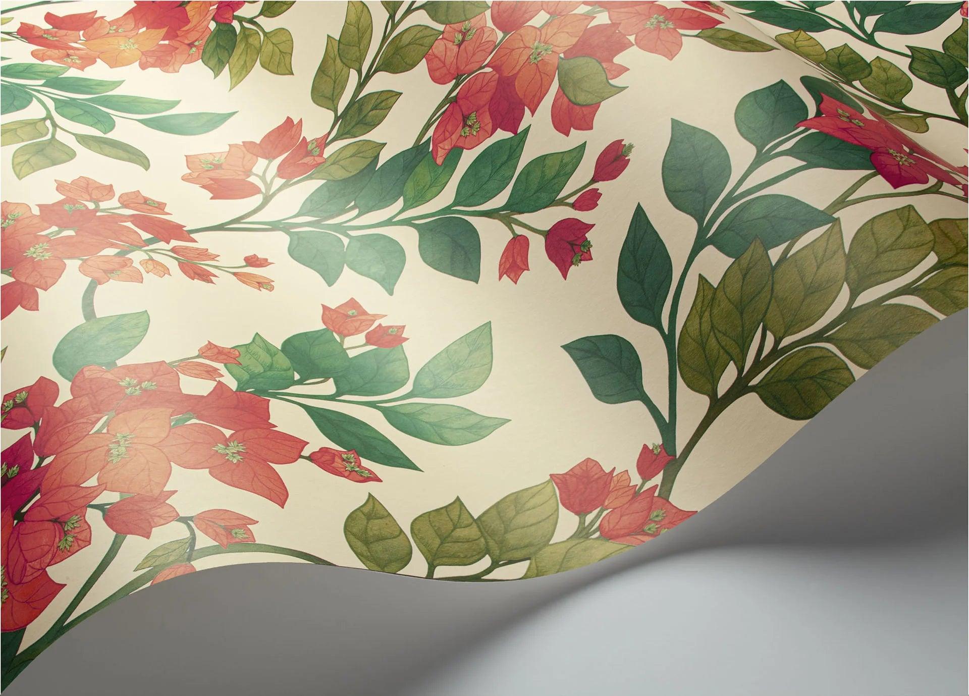 Tapeta SEVILLE - Bougainvillea czerwony na kremie Cole & Son    Eye on Design