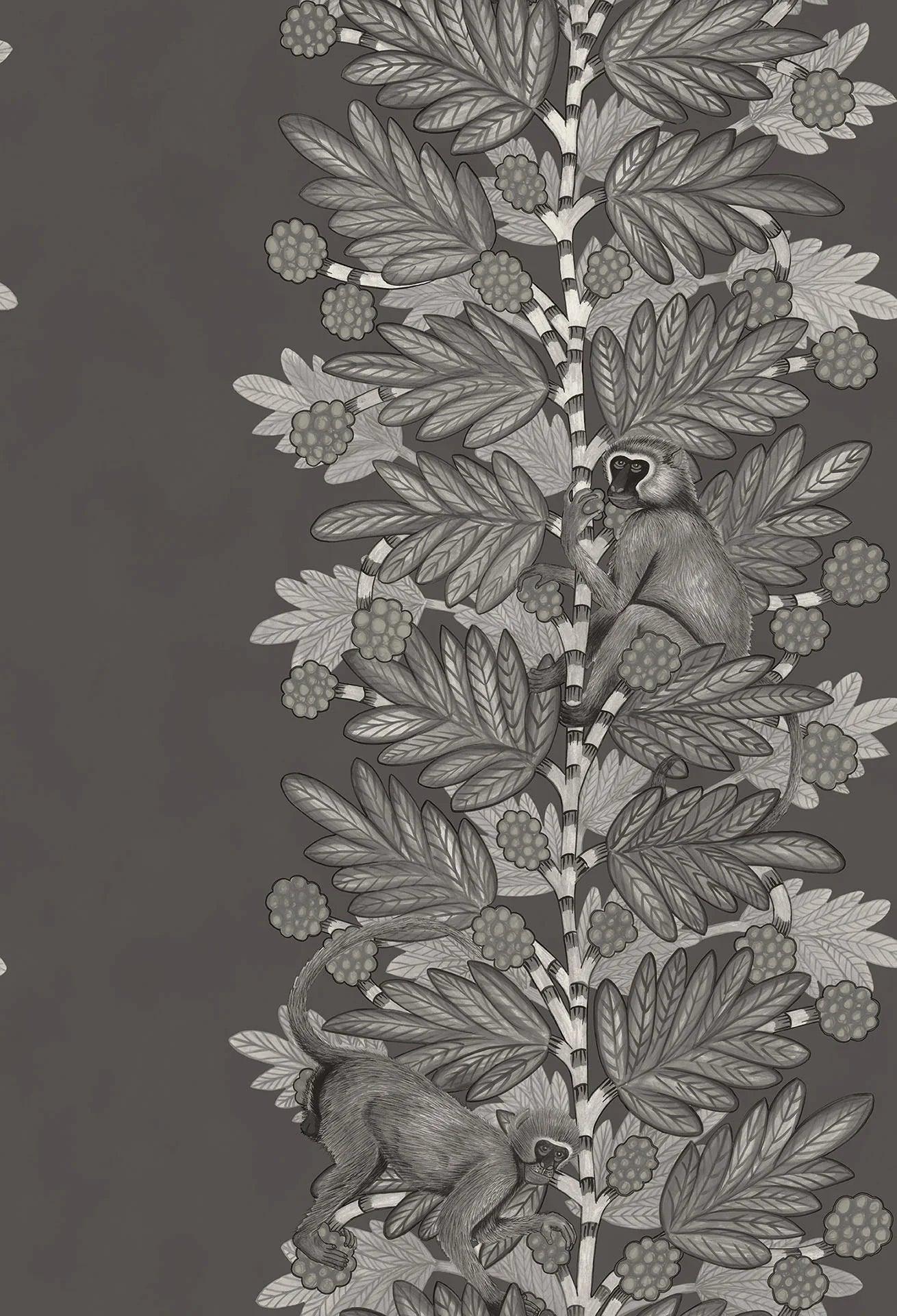 Tapeta THE ARDMORE COLLECTION - Acacia czarny Cole & Son    Eye on Design