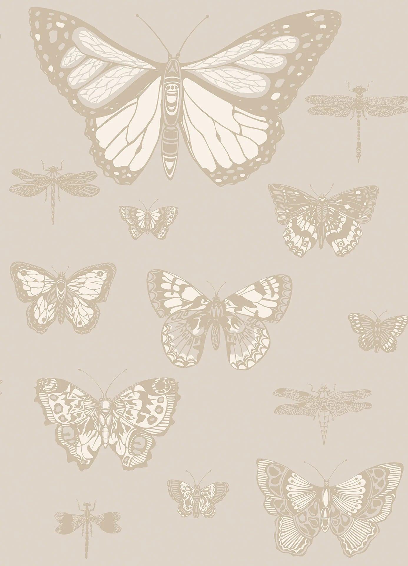 Tapeta WHIMSICAL - Butterflies & Dragonflies beżowy Cole & Son    Eye on Design