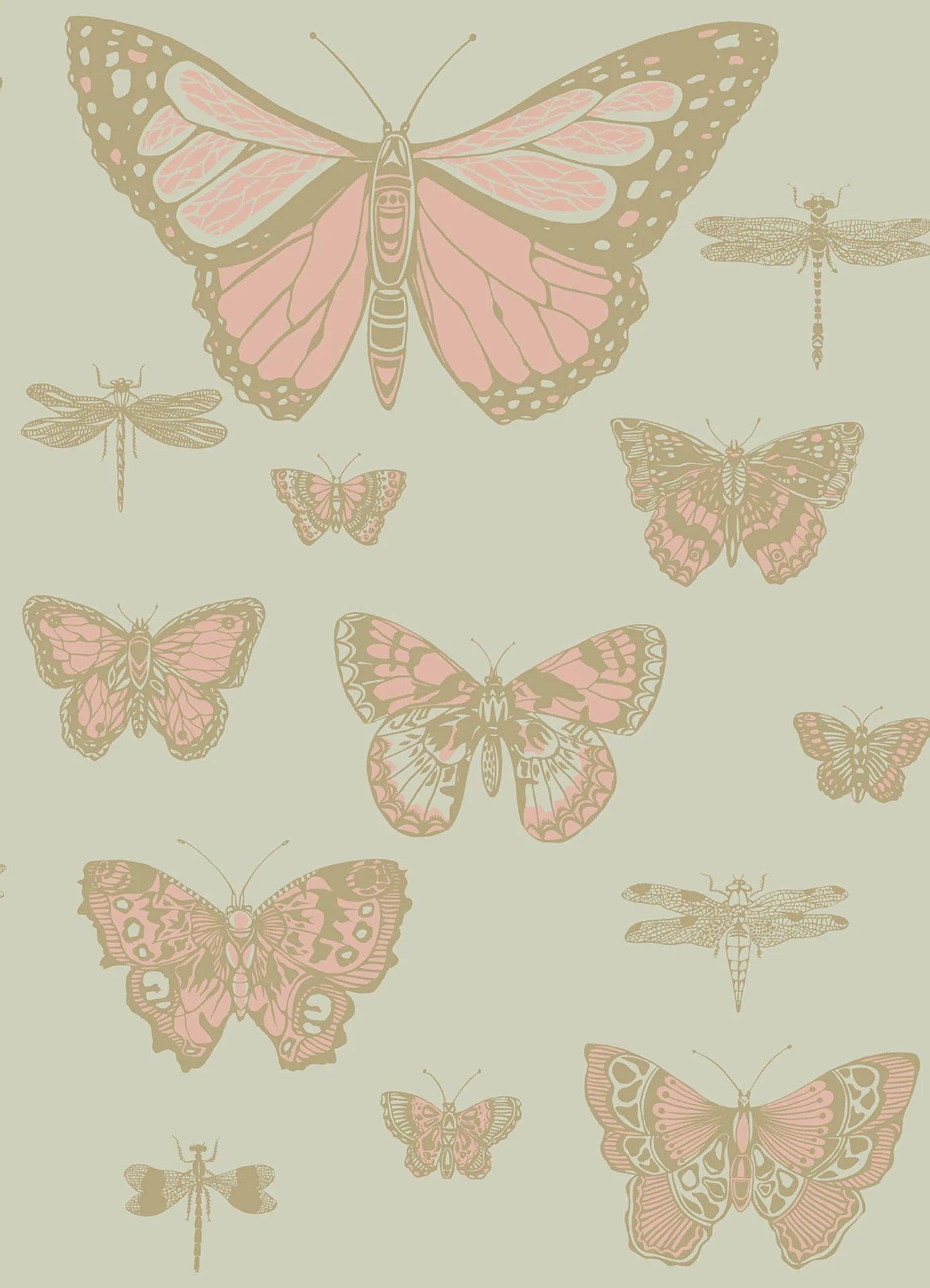 Tapeta WHIMSICAL - Butterflies & Dragonflies zielony Cole & Son    Eye on Design