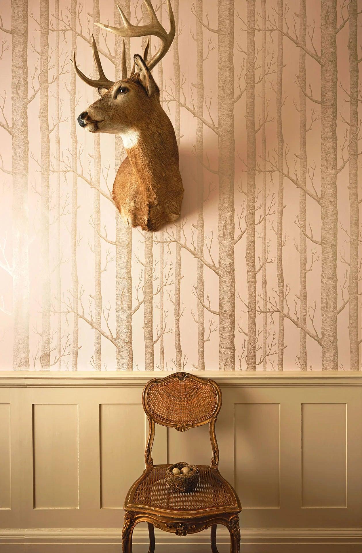 Tapeta WHIMSICAL - Woods brzoskwiniowy Cole & Son    Eye on Design