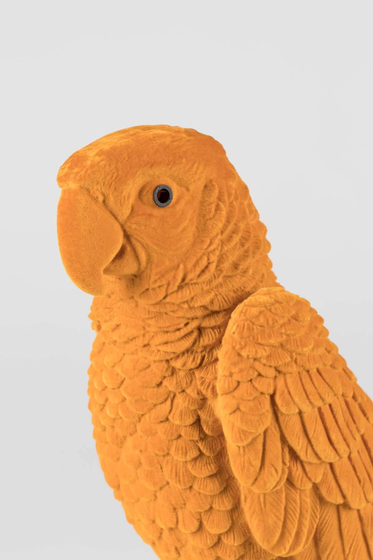 Dekoracja papuga FEELING TROPICAL pomarańczowa Bold Monkey    Eye on Design