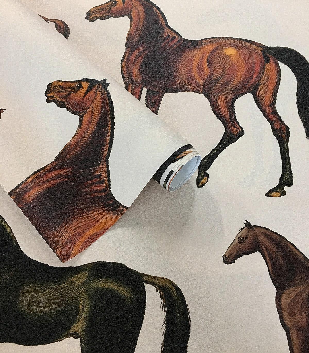 Tapeta HORSES BEIGE Wallcolors    Eye on Design